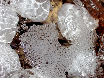 I actually don`t eat eggs very often, but I think they`re a very photogenic food (see December 20 above).