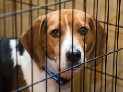 As you celebrate Christmas, remember those who are less fortunate.