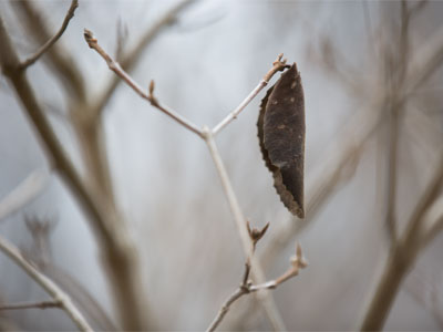 This is exactly the kind of day it was.