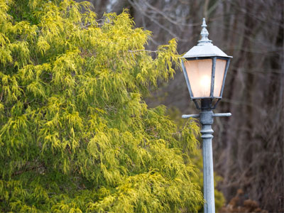 I kept expecting to see Mr. Tumnus.