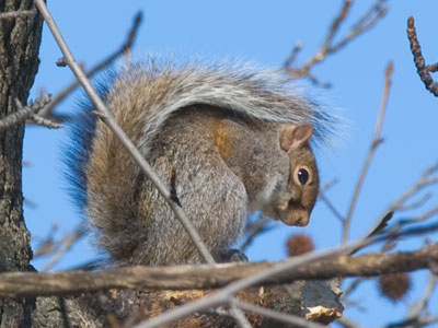 Body language says it all.