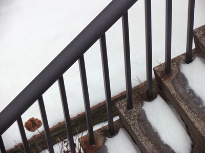 It`s truly a shame when I motivate myself to go outside on a terrible day and this is all there is to take pictures of.