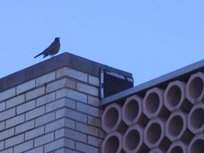 Adam Alonzo, nature photographer.