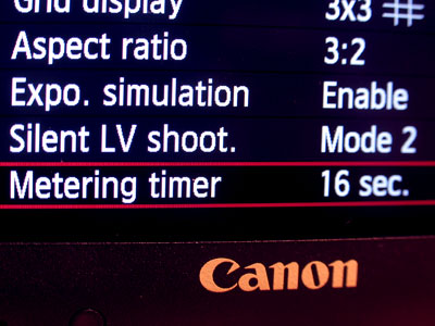 Would you like to see a menu?