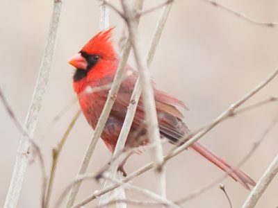 There was a highway ramp on one side and an alley on the other, but you can`t tell in this photo.