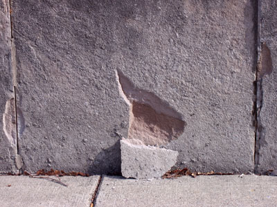 A chip off the old block.