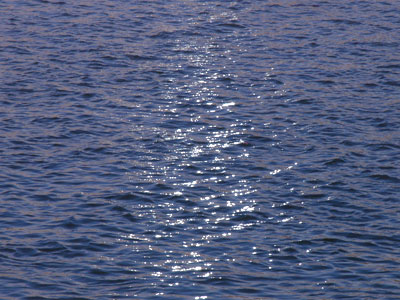 There was no ice on the river today.