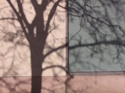 Your daily building.