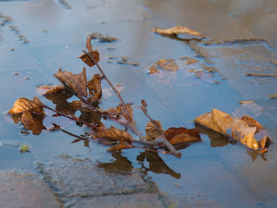 Lots of water, but I`m glad it`s not snow.