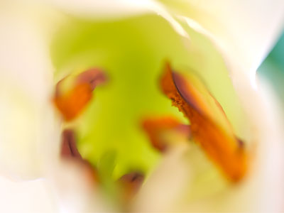 Oh it were sweet to think that May should be ours again . . . 