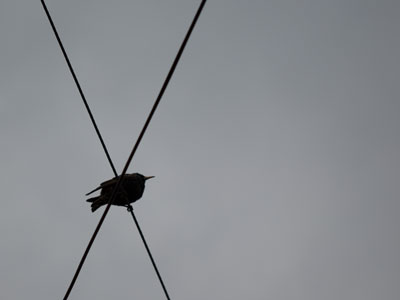 How awkward!  I ran into my ex this morning.