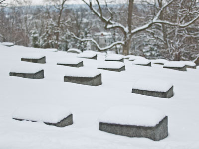 This is an Emily Dickinson poem waiting to happen.