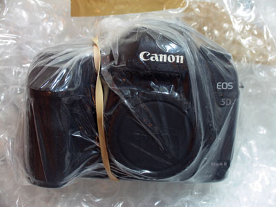 It took only three months for my camera to get repaired (see November 24, 2014).  No more baby camera!