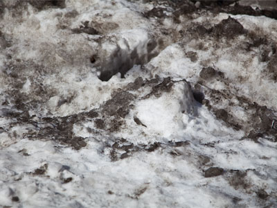 As pure as the driven snow.