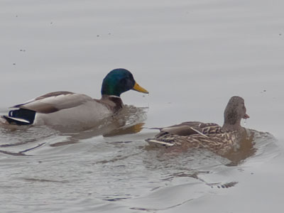 In June, I change my tune.