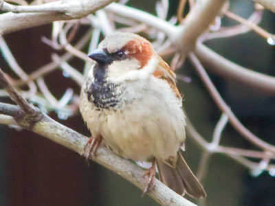 Only six days until spring!