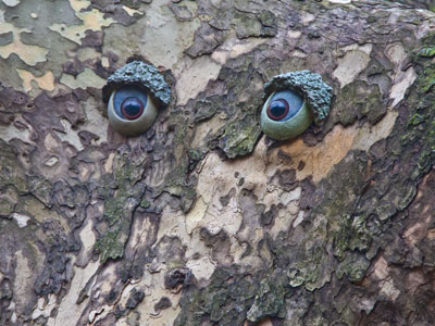 Missing a mouth and nose.