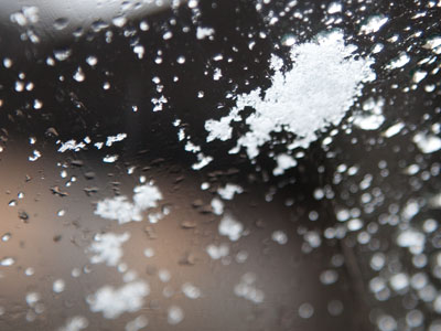 Realizing that they`re powerless individually, snowflakes decided to join forces.