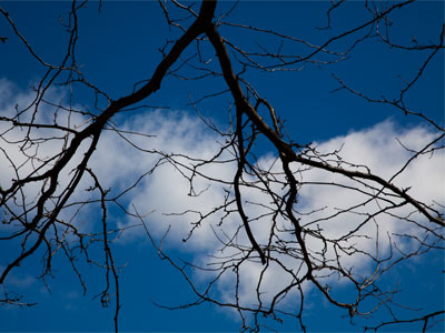 When will spring really come?