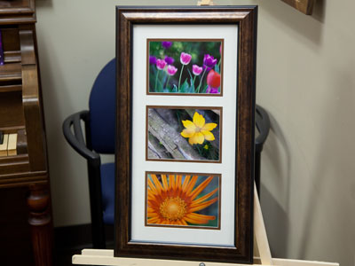 My photos are offered in a raffle (see March 13 above).