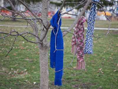 The last fruits of the season.