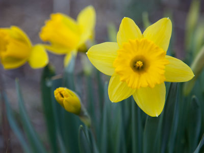 I was being accosted by a cat as I took this picture.