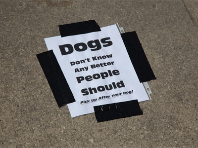 The pavement in this area was . . . well, disgusting.