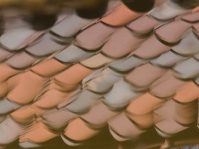 Rippling roofline reflection.