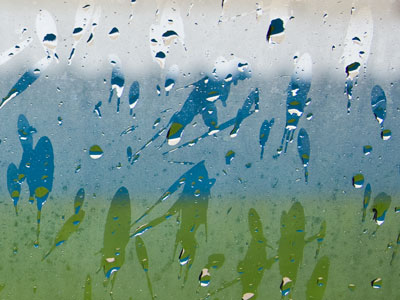 Out the left window.