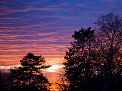 After the game, I was able to pay attention to the sunset.