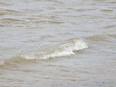 The wind created whitecaps on the river.