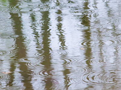 These April showers had better bring some May flowers.