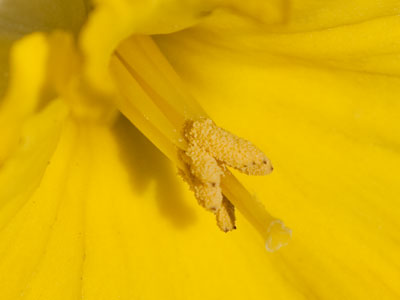 Why you`re sneezing so much.