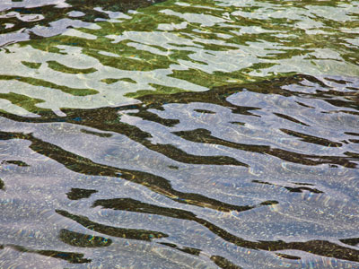 The Square is where.