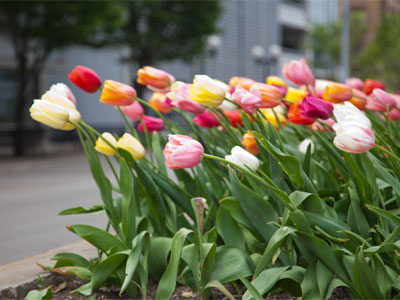 So . . . it was windy today.