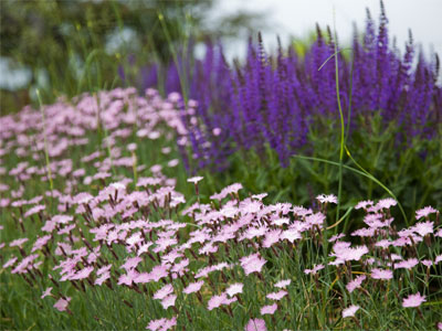 It`s the most wonderful time of the year.