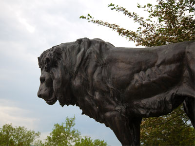 You know, of course, that lions don`t sleep in the jungle, the mighty jungle, they sleep on the plain, the grassy plain.