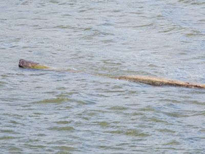 How legends get started.