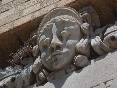 Just another face in the crowd.