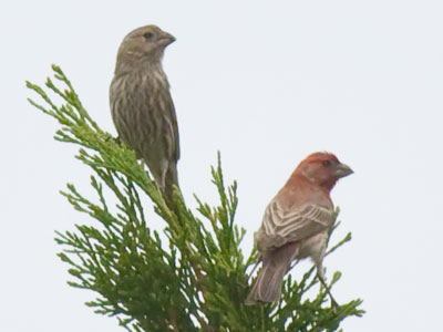 To have and to hold from this day forth.