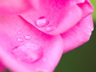 My picture taking was delayed by rain this morning.