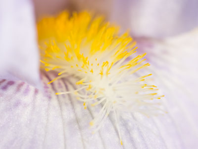 It`s a good day when pictures are done before 10:00am.