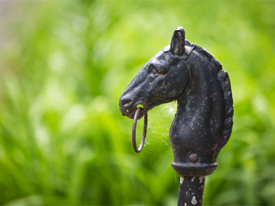 When my neighborhood was built, this was transportation.  That`s why there are no driveways or garages here.