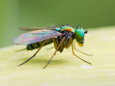 A girl in a First Communion dress was photographed nearby, followed later by a family with a baby.