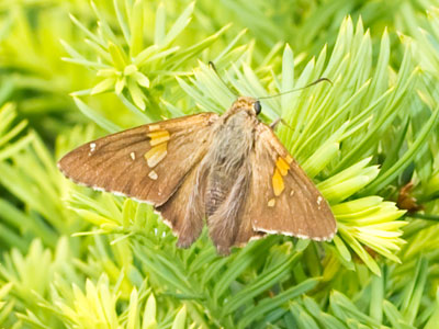 I just tried to stay out of the way of the other photographer.