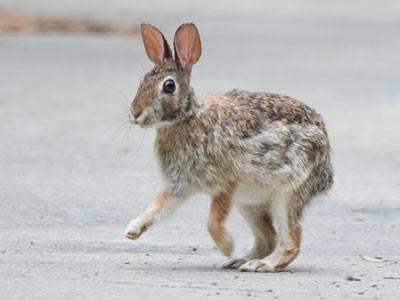 I stood still for a long time and this is all I got out of it.