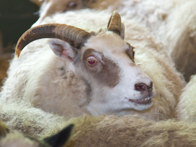 You have no idea what`s in store for you today.