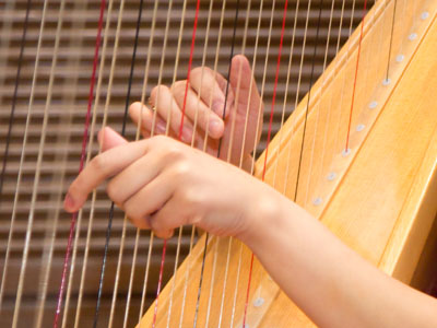 Seventeen year old harpist.