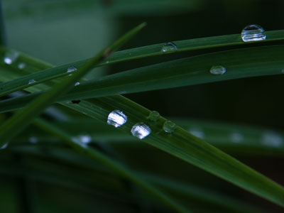 Water is truly worth more than diamonds.