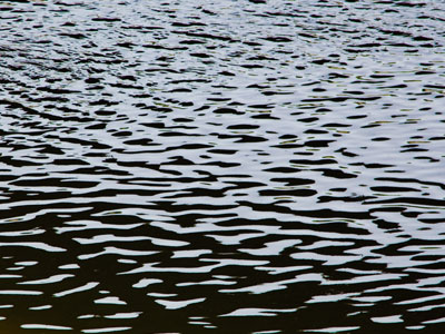 The random patterns of nature.